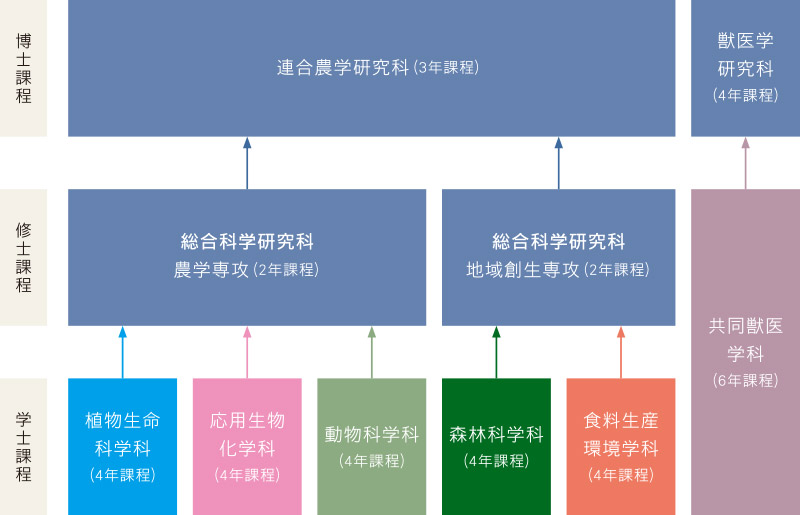 進学のイメージ