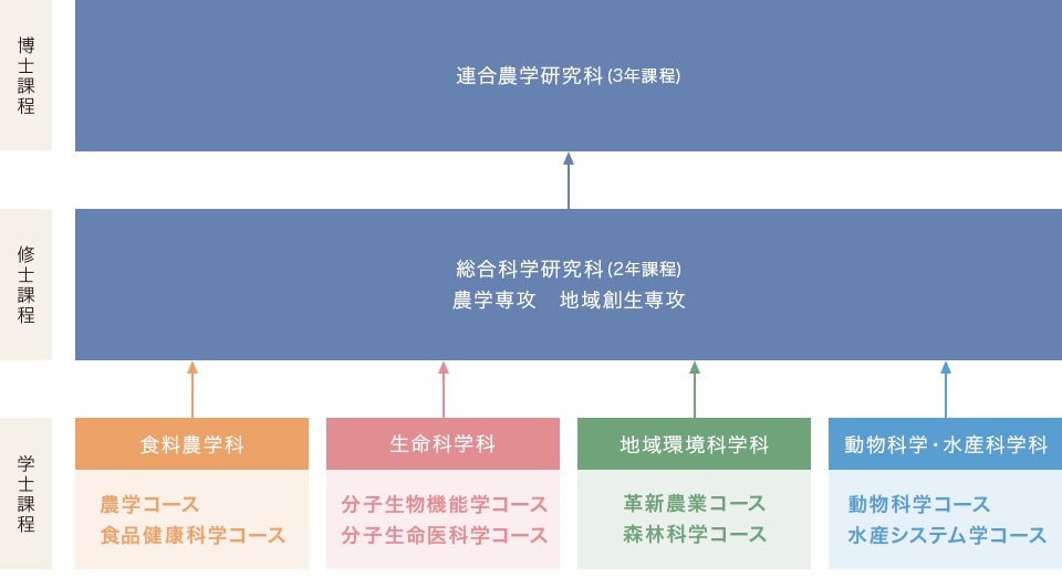 進学のイメージ
