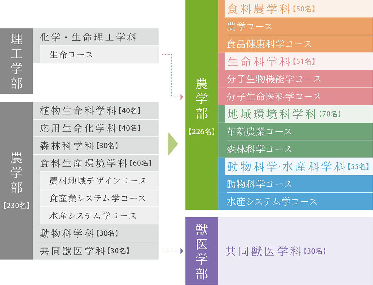 改組後の体制