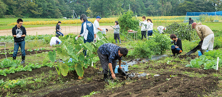 Food Production and Environmental Management