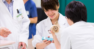 Veterinary Medicine